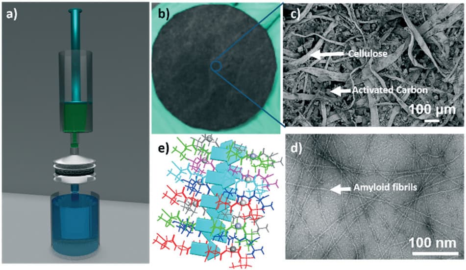 SEM and TEM images of the amyloid hybrid membrane structure showing nanoscale fibril network