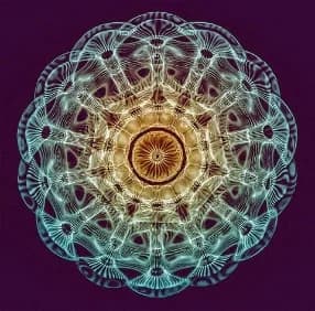 Cymatic sound image arranged in the golden ratio